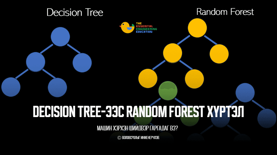 Decision Tree-ээс Random Forest хүртэл: Машин хэрхэн шийдвэр гаргадаг вэ?
