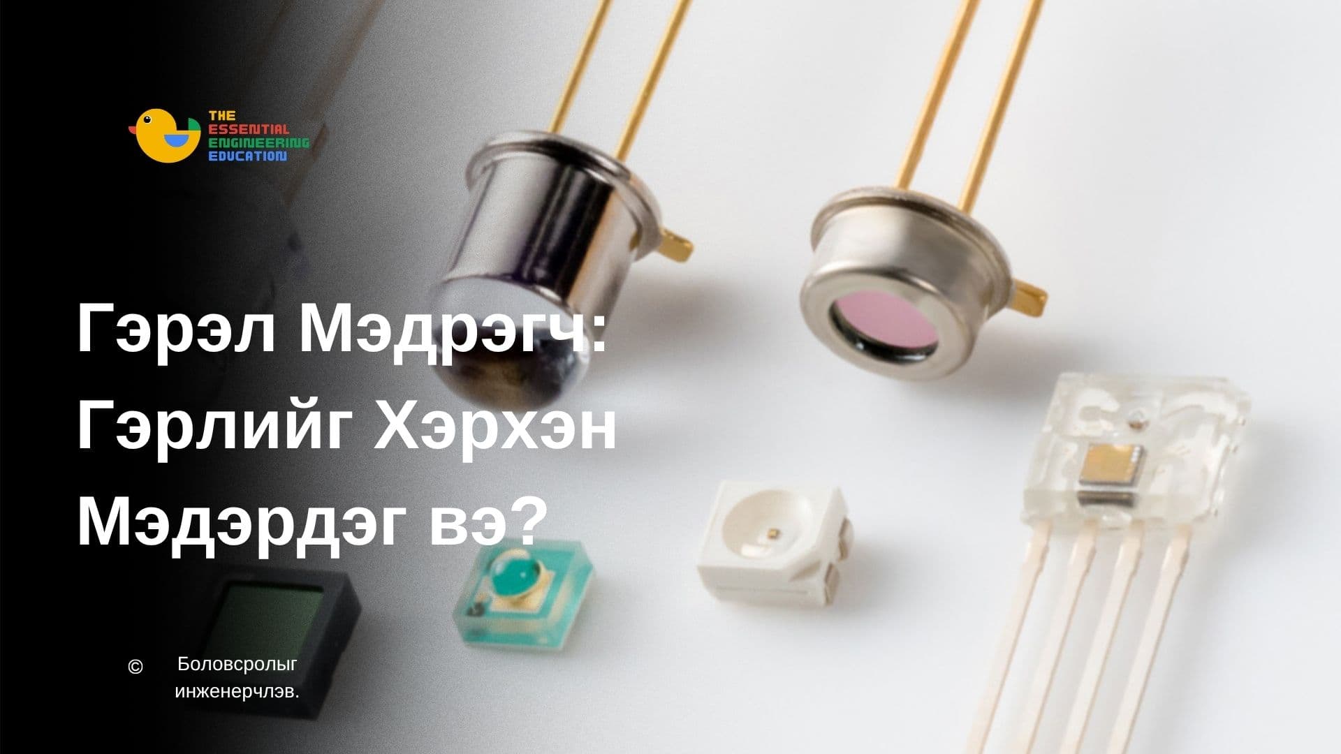 Гэрэл Мэдрэгч: Гэрлийг Хэрхэн Мэдэрдэг вэ?