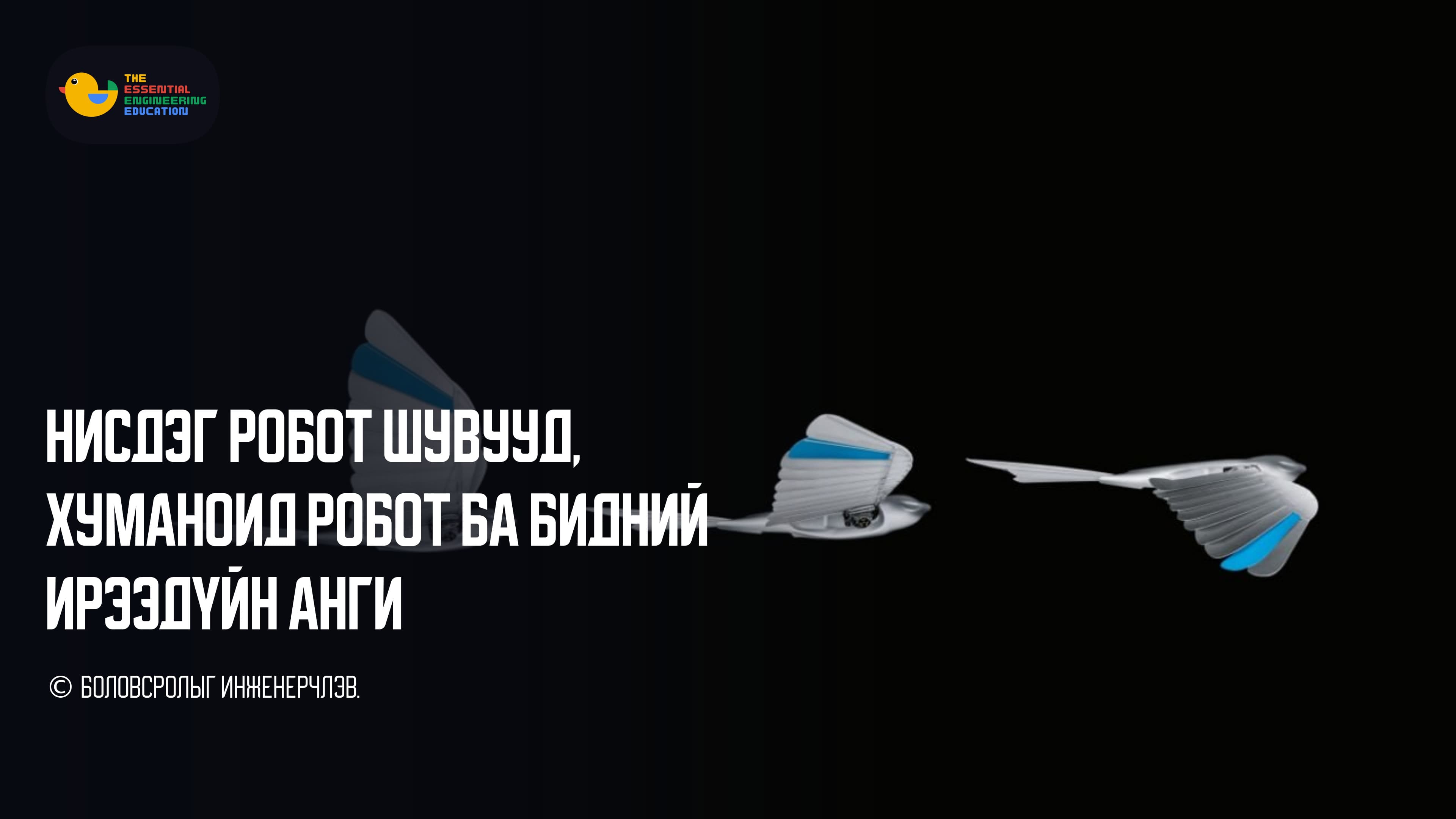 Нисдэг робот шувууд, хуманоид робот ба бидний ирээдүйн анги