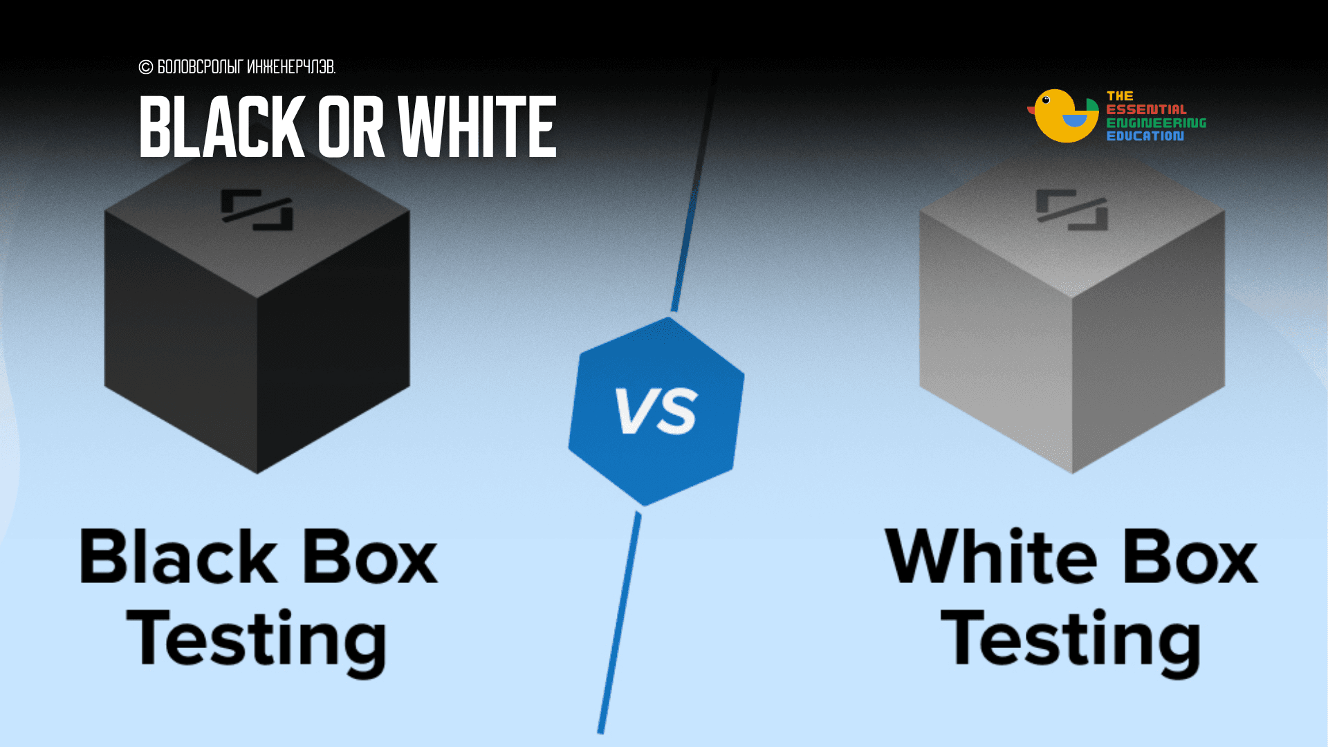 Black Box vs. White Box