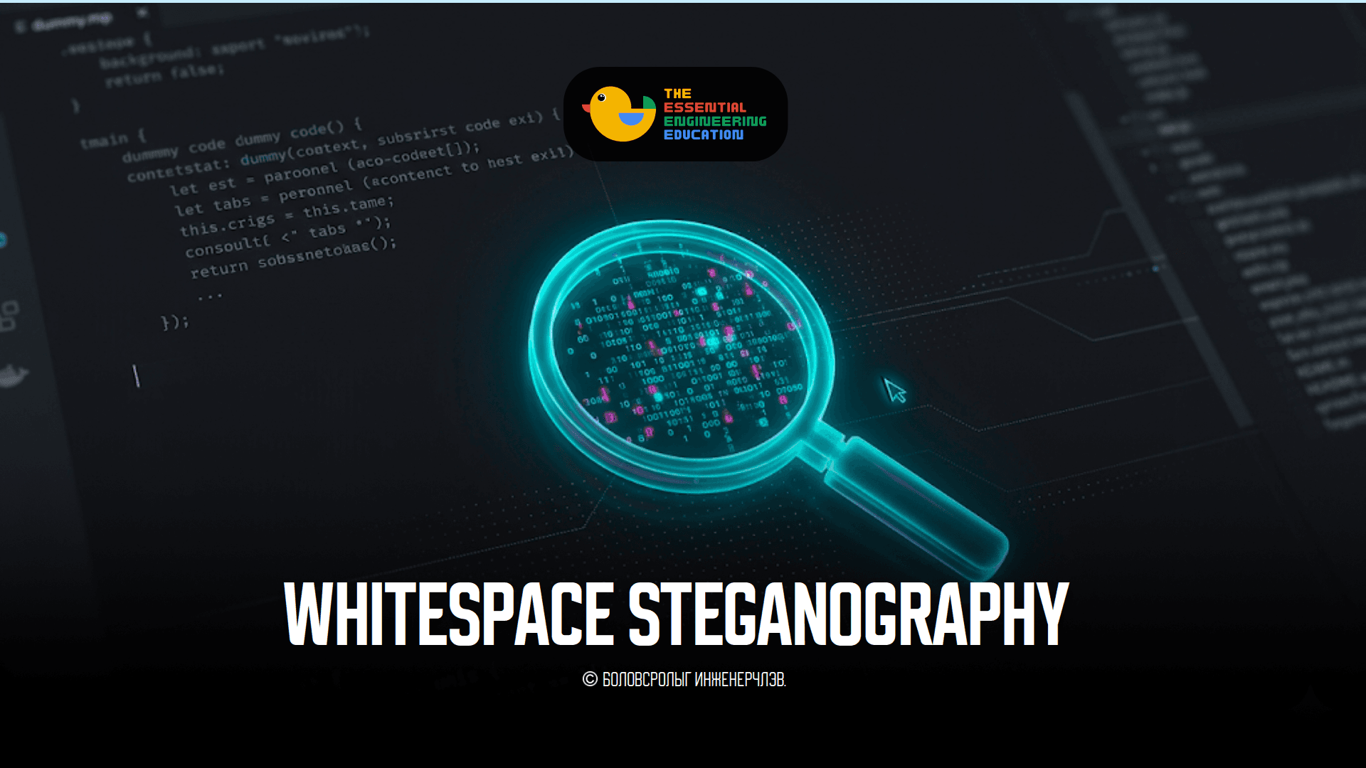 Whitespace Steganography