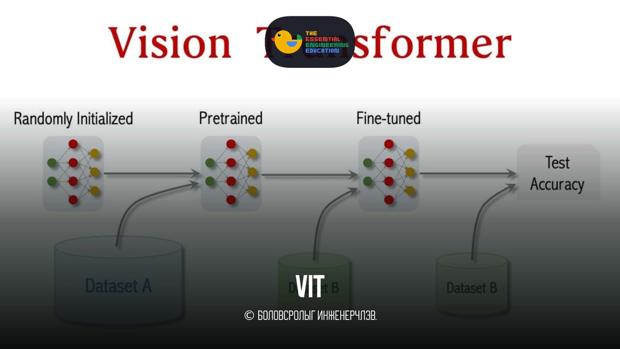Vision Transformers (ViT)